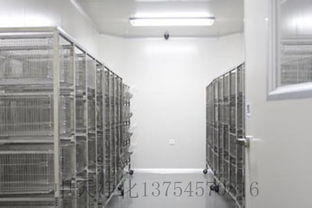 凈化工程凈化實(shí)驗(yàn)室設(shè)計與施工