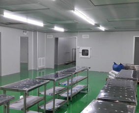 潔凈室凈化工程 滁州凈化工程 安徽騰義 經(jīng)驗(yàn)豐富